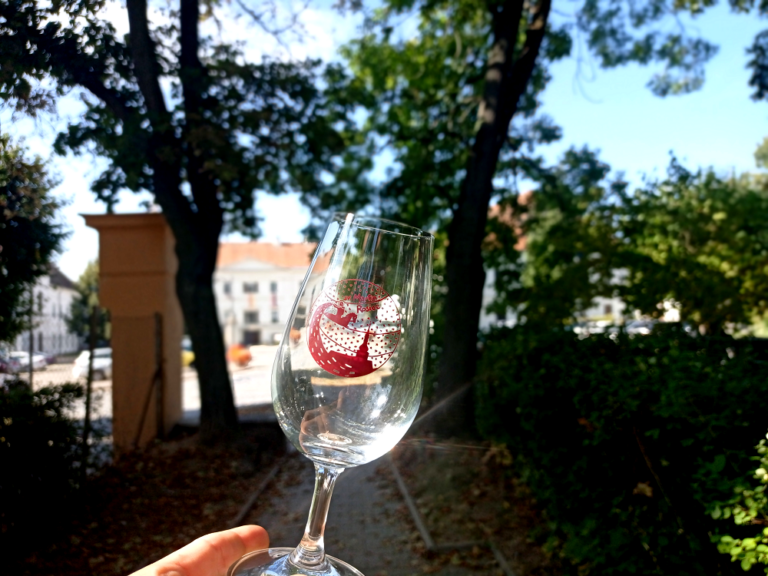 Svatomartinský košt | zámek Rosice | Duo Kontrast | ohnivá show